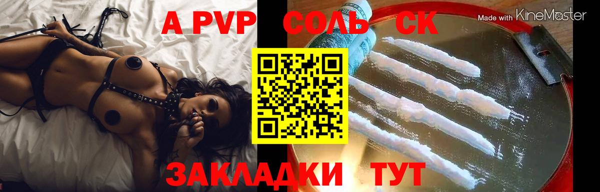 Североморск  Альфа ПВП СК  APVP крисы CK  Вход с VPN  A PVP СК КРИС 