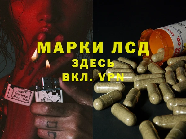 таблы Апатиты