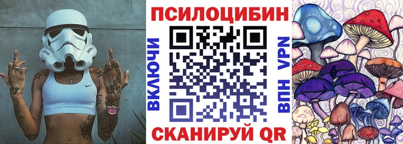 Галлюциногенные грибы Psilocybine cubensis Североморск
