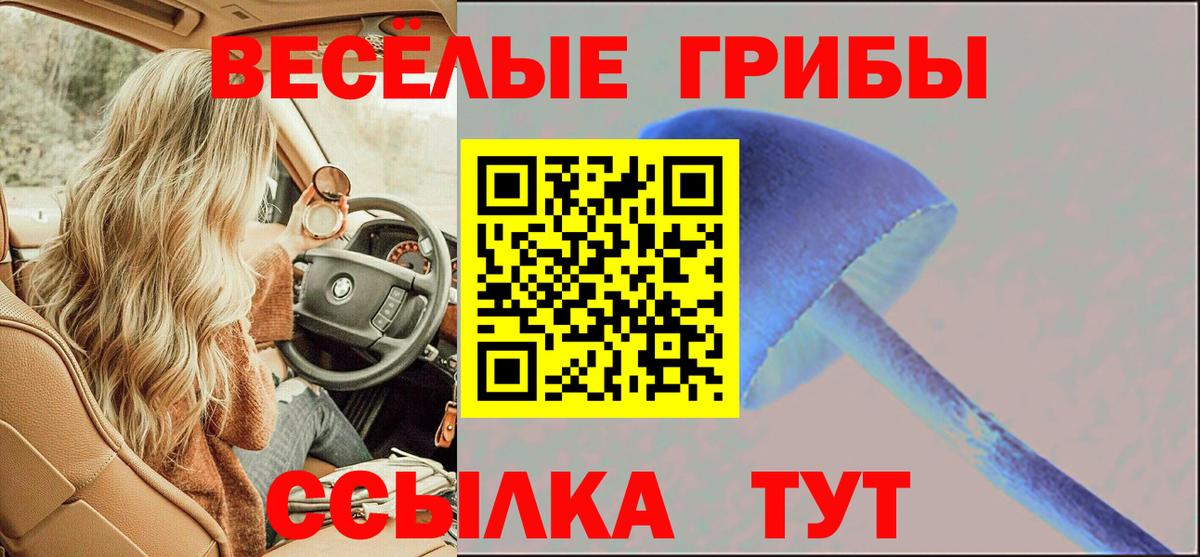 Псилоцибиновые грибы мицелий  Североморск  Галлюциногенные грибы прущие грибы 